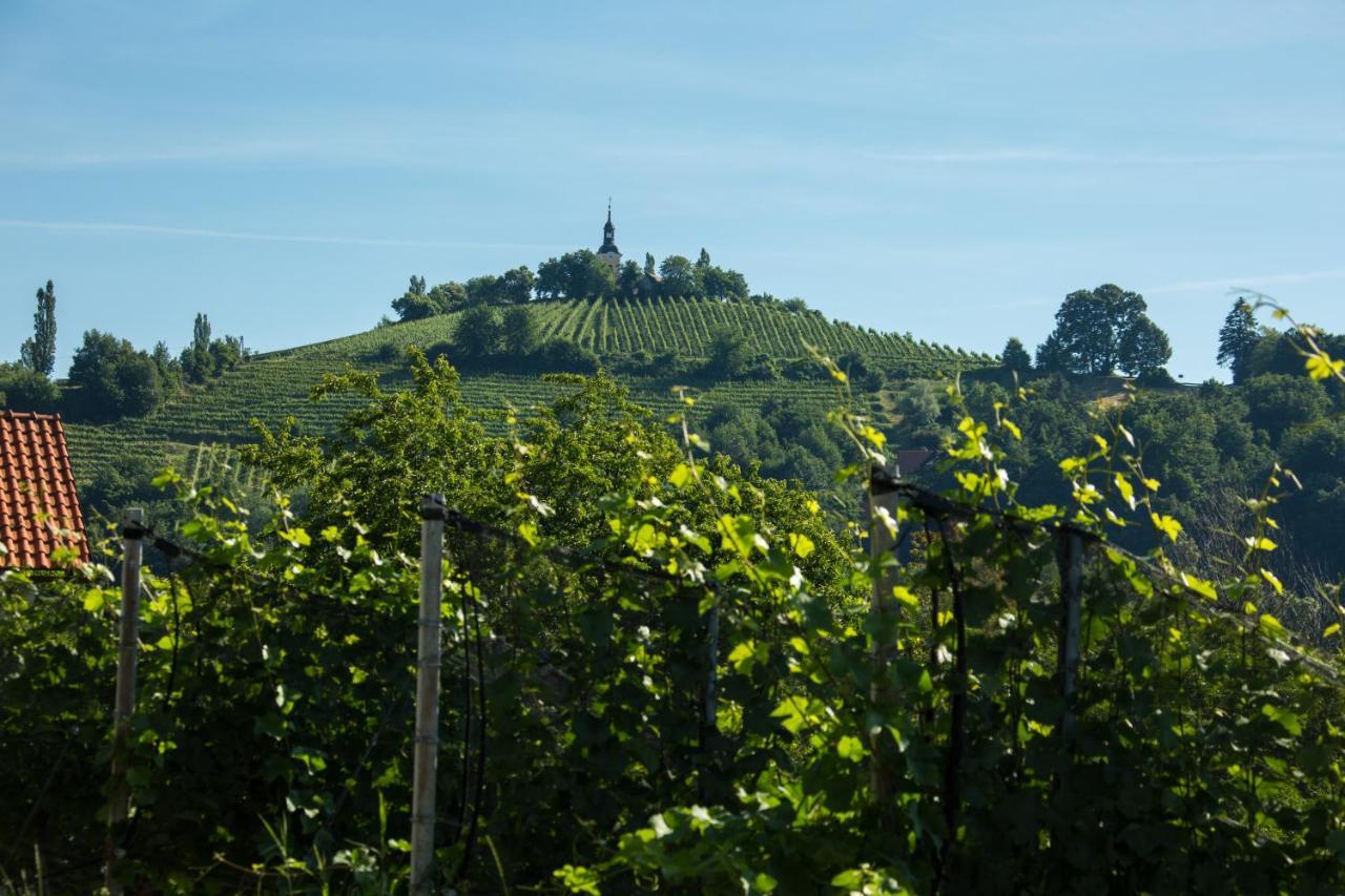 Gaestehaus Grasch Homestay Kitzeck im Sausal