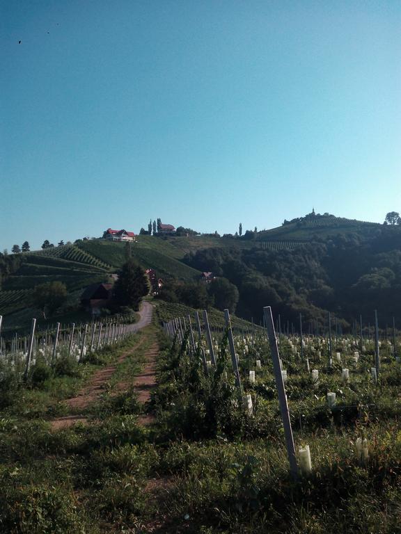 Grasch Kitzeck im Sausal